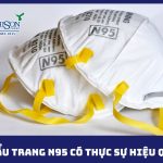 Khau trang N95