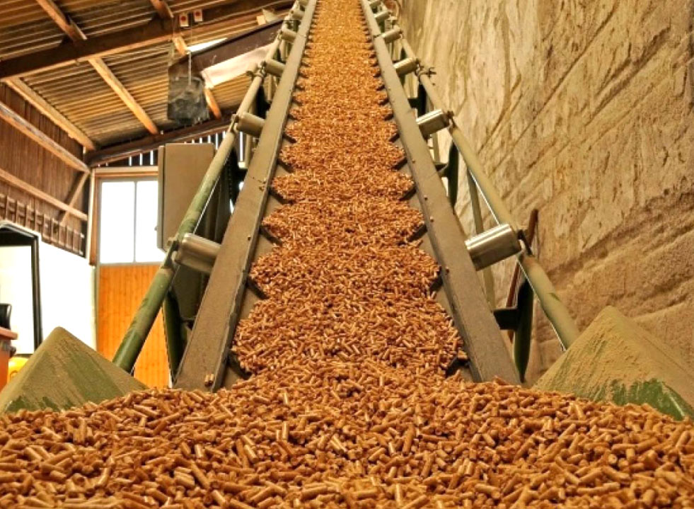 vien-nen-trau-xuat-khau